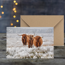 Load image into Gallery viewer, Festive Gift Hamper
